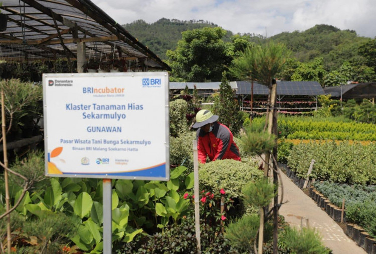 Berbasis Komunitas, BRI Jadi Motor Penggerak 42 Ribu Klaster Usaha Rakyat