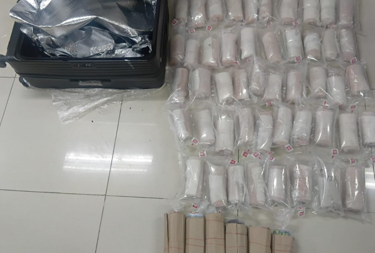 Polisi Bongkar Penyelundupan Benih Lobster di Soetta, Puluhan Ribu Diselamatkan