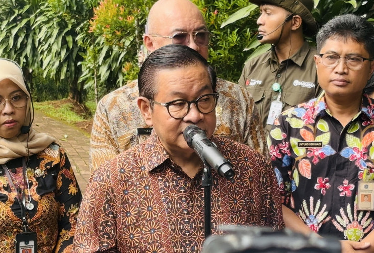 Pramono Duga Video Viral Harimau 'Sri Deli' Kurus di Ragunan Direkam Saat Covid-19