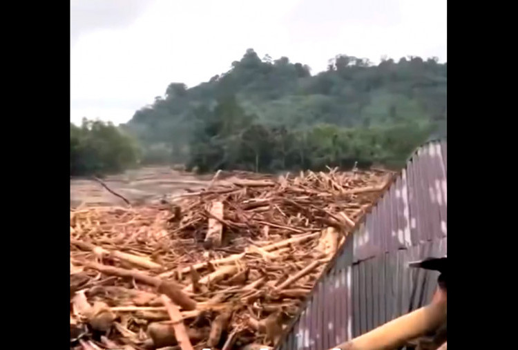 Viral Video Bahlil Singgung soal Negara Maju Babat Hutan, Tuai Hujan Kritik dari Netizen