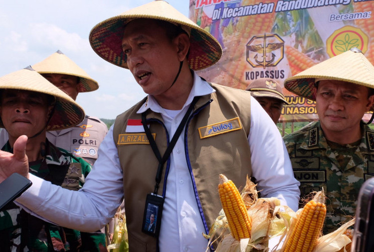 SPHP Jagung 2026 Capai 66 Persen, BULOG Siapkan Tambahan 150 Ribu Ton hingga Desember