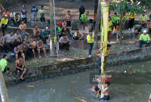 Peserta lomba mengikuti perlombaan panjat pisang setinggi 10 meter dari dasar sungai di Kebun Binatang Surabaya, Jawa Timur, Sabtu, 26 Agustus 2023. Acara Panjat Pisang yang diikuti sejumlah karyawan KBS tersebut berlangsung dalam rangka memeriahkan HUT ke-78 Kemerdekaan RI dan menyambut hari jadi Kebun Binatang (KBS) yang ke 107. (Muchamad Ma'ruf Zaky/Harian Disway)