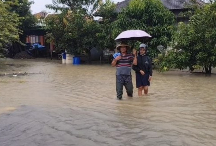 Banjir Rendam Pati, Jepara, dan Kudus, Ribuan Rumah Terdampak 