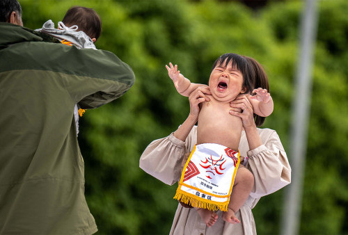 Semakin Menangis, Semakin Sehat; Festival Bayi Sumo kembali Dihelat di Jepang