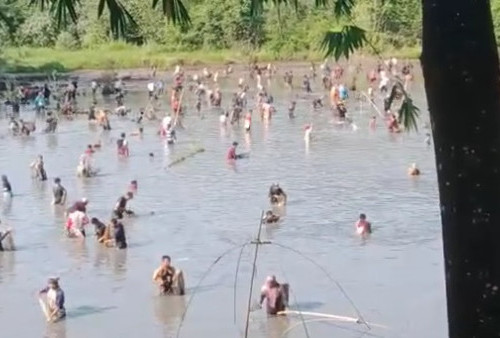 Sambut Idul Adha, Warga Desa Gedung Agung ‘Nangguk’ Ikan Bersama