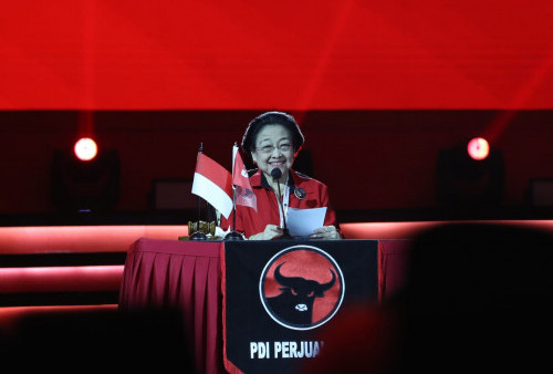 Tak Bisa Ditanam di Indonesia, Megawati Beri Jokowi Saran 10 Bahan Pangan Pengganti Gandum
