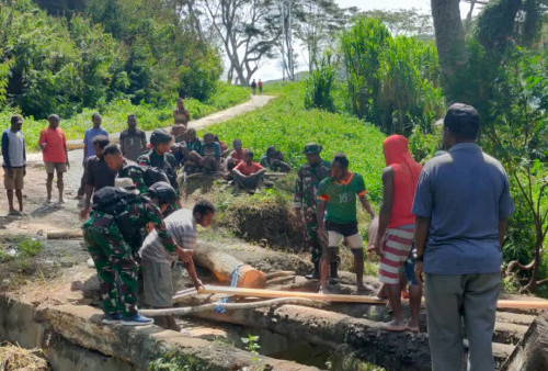 Gotong Royong Bangun Jembatan Pengubung Desa di Papua