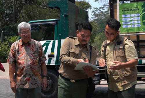 Prosesi pelepasan Dimas, Banteng oenghuni Taman Safari Prigen Pasuruan, Jawa Timur, Selasa, 11 Oktober 2023. General Manager The Grand Taman Safari Prigen, Lies Yuwati mengatakan jika satwa hasil breeding di Lembaga Konservasi harus segera dikembalikan ke asalnya untuk dilepasliarkan. Hal ini dilakukan agar populasi dan keseimbangan ekosistem tetap terjaga. Jadi ada satu satwa yaitu Banteng Jawa pejantan yang lahir pada 22 Agustus 2017 yang akan dilepasliarkan ke Taman Nasional Baluran. Banteng ini bernama Dimas yang lahir atas indukan Matos dan Dini. (Humas Taman Safari untuk Harian Disway)