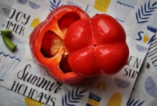 7 Manfaat yang Tersimpan dalam Kandungan Paprika Merah, Simak Penjelasannya