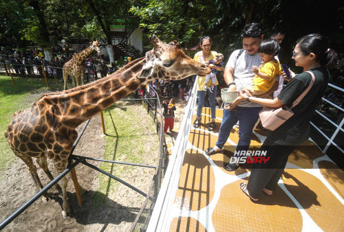 Reservasi Tiket KBS Night Zoo Sudah Dibuka, Bisa Lewat Online atau On The Spot