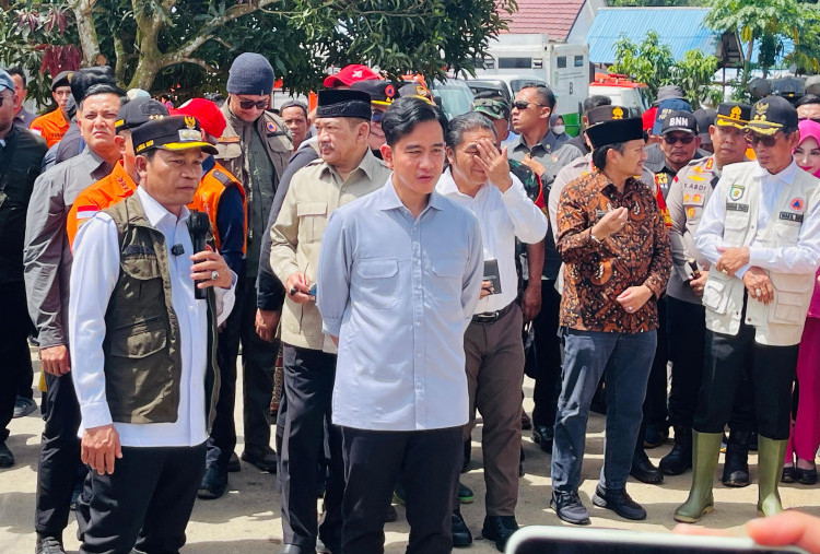 Wapres Gibran Turun Langsung Lihat Banjir Balangan, Serahkan Bantuan ke Warga Terdampak