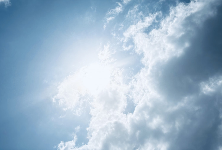 Antisipasi Kekeringan Panjang di Jakarta Dampak El Nino, BPBD Aktifkan Satgas Air hingga Water Mist