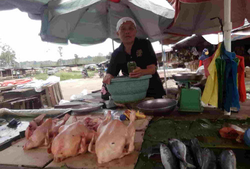 Pasca Idul Adha Harga Ikan di Pasar Pulo Mas Masih Stabil