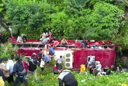 Investigasi Bus PO Duta Wisata asal Tangsel Terjun di Guci Tegal Terungkap, KNKT Bongkar Rumor Bocah Mainkan Rem Tangan dan Temukan Fakta Terbaru Ini