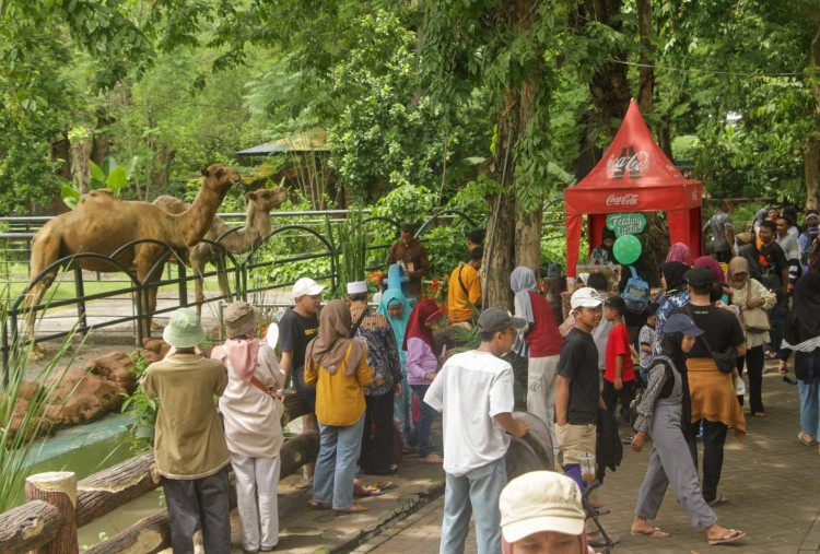 Tingkat Okupansi Hotel di Jawa Timur November 2024 Turun, Wisatawan Asing Berkurang