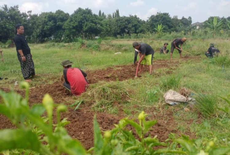 33 Tahun Dompet Dhuafa, Hadirkan Terapi Mental Lewat Aktivitas Bertani