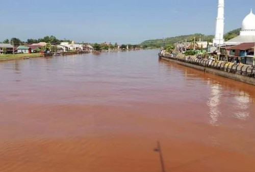 Walhi Desak Mabes Polri Bongkar Kasus Pencemaran Sungai Malili oleh PT CLM