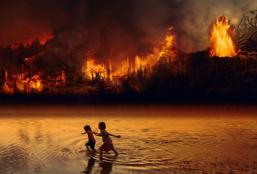 5 Hektar Lahan di Kalimantan Tengah Kebakaran