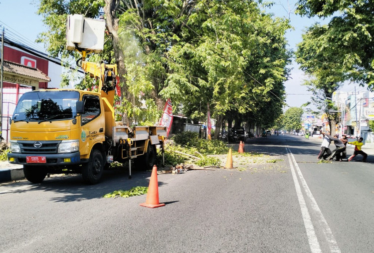 Warga Keluhkan Pohon-pohon Ditebang, DLHKP Kota Pasuruan Beri Penjelasan