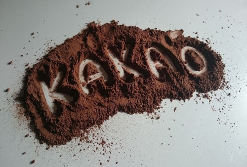 Hasil Penelitian: Flavanol Kakao Dapat Meningkatkan Daya Ingat Orang Dewasa yang Lebih Tua
