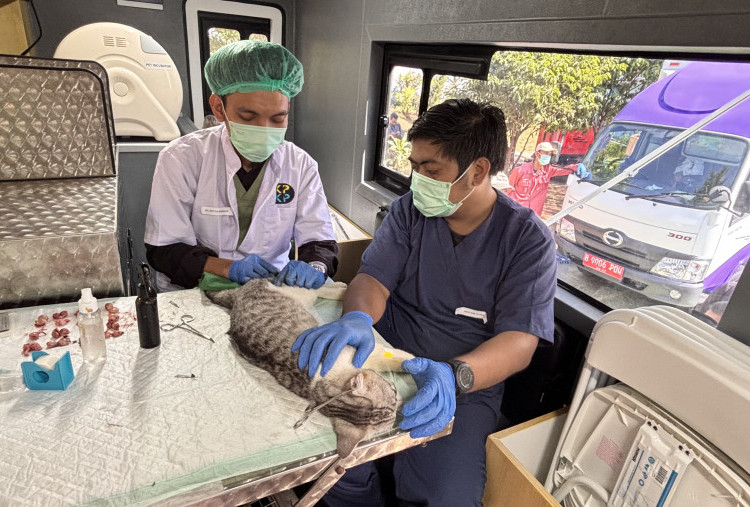 Pemprov DKI Buka Layanan Kesehatan Hewan Keliling, Wujudkan Jakarta Bebas Rabies