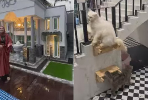 Majik Ini Memang Spesial, Ketika Kucing Sultan Punya Rumah Sendiri: Besar dan Megah Banget!