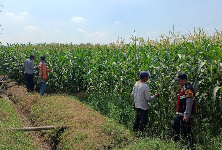 Polisi Cinta Petani: Cara Polresta Sidoarjo Perkuat Ketahanan Pangan Nasional