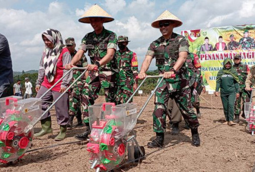 98 Hektar Lahan Siap Dukung Ketahanan Pangan 