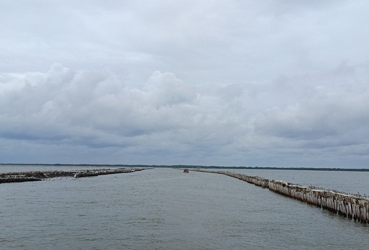  Pemprov Jawa Barat Sebut Pagar Laut Bekasi Legal, Peruntukkan Bagi Pembangunan Alur Pelabuhan