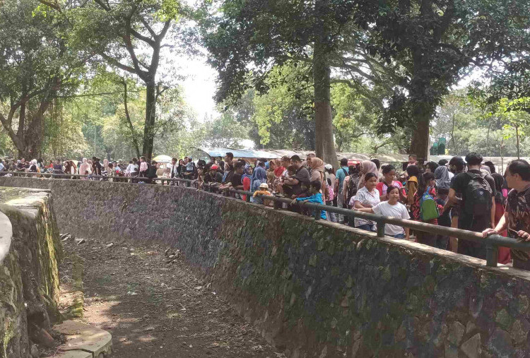 Pengunjung Ragunan Diprediksi Tembus 50 Ribu Saat Libur Natal