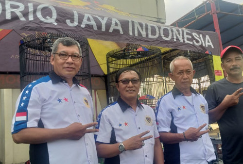 Terror, Murai Batu Juara Kelas Utama Wali Kota Cup Oriq Jaya Indonesia