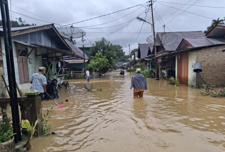 Kemenkes Keluarkan Surat Edaran: Waspada Ancaman Leptospirosis Pasca Bencana Banjir
