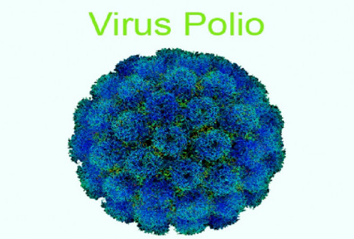 Muncul 3 Kasus Anak Lumpuh Layu Dipicu Virus Polio, Terbaru di Jatim