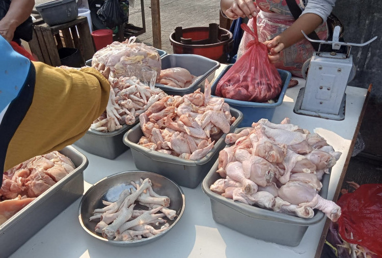Kebutuhan Daging Ayam di Jakarta Melonjak 10,77 Persen Jelang Lebaran, Harga Ikut-ikutan Naik