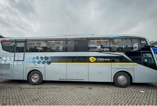 Blue Bird Kini 'Main' di Bus AKAP, Luncurkan Cititrans Busline dengan Layanan First Class Pesawat