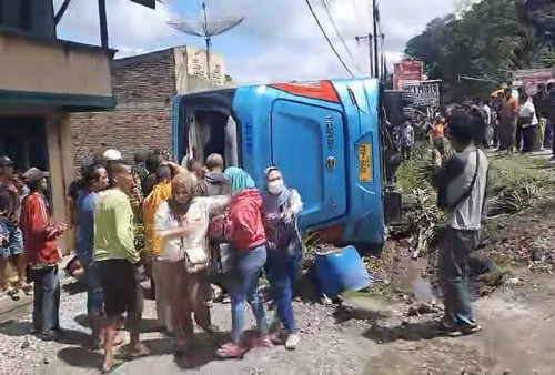 Bus Bigbird Rombongan Koperasi KPPD DKI Jakarta Terguling di Toba Sumut, 2 Orang Tewas