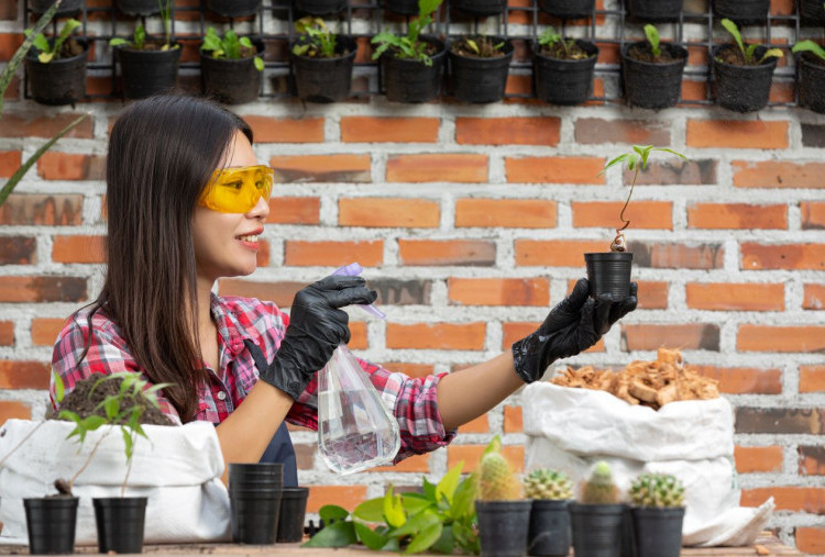 Berkebun Mandiri Ala Zero Waste Masih Jadi Gaya Hidup Favorit di 2026