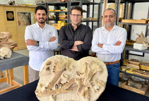 Wow! Ahli Paleontologi di Mesir Klaim Dapat Temuan Fosil Paus Mini Berusia 41 Juta Tahun