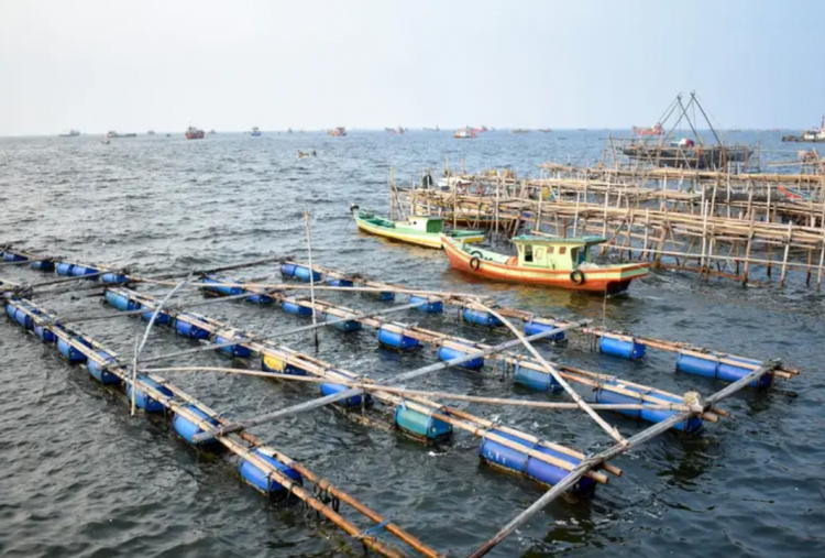 5 Wisata Pantai Terdekat dari Bekasi yang Murah Meriah untuk Liburan Nataru, View Eksotis Manjakan Mata!