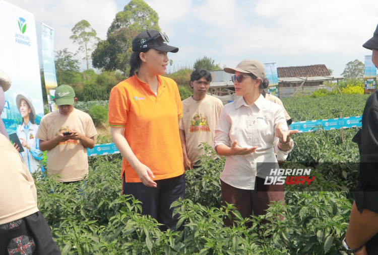 Bayer SATRIA Perkuat Regenerasi Petani Muda di Magelang