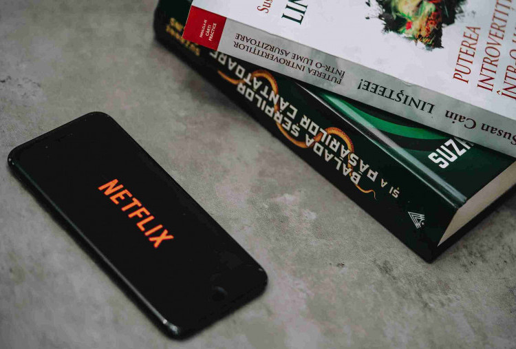 Resmi! Netflix dan Spotify akan dikenakan PPN sebesar 12 Persen Per 1 Januari 2025