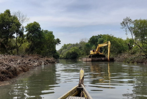 Jawaban Pemkot Surabaya Soal Pembabatan Mangrove Wonorejo: Mengembalikan Lebar Sungai 