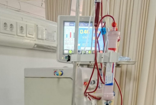 Mengenal CAPD untuk Pengobatan Gagal Ginjal Kronis, Apa Bedanya dengan Cuci Darah?