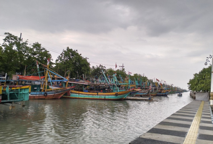 Cuaca Ekstrem Lumpuhkan Aktivitas Nelayan Pasuruan, Harga Ikan Melonjak Tajam