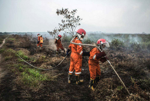 Dampak Kemarau Panjang, 244 Kali Kebakaran Lahan Terbuka di Surabaya