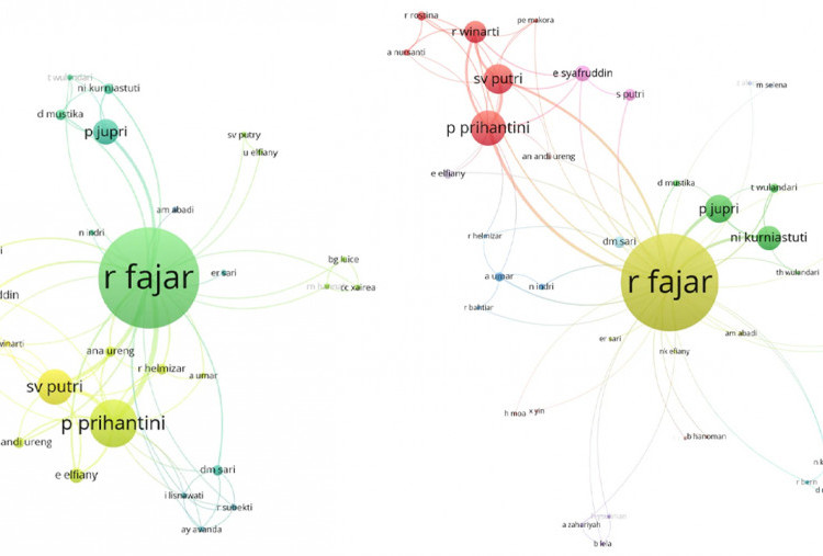 Jaringan Rifaldy Fajar Terduga Riset Palsu Terbongkar dengan Vosviewer, Muncul 3 Nama Utama