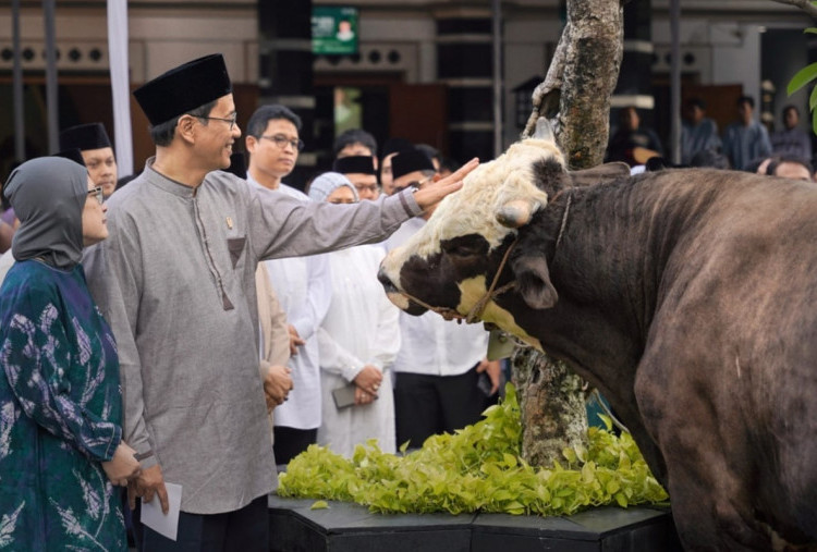 Salat Iduladha di DJP, Menkeu Purbaya Serahkan Sapi Kurban dan Singgung APBN untuk Kelompok Rentan