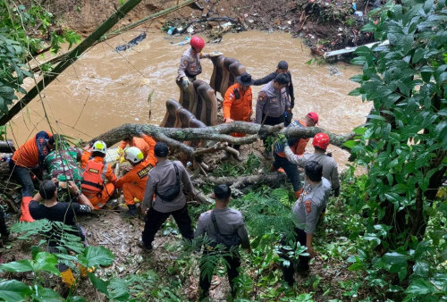 Tim SAR Gabungan Cari Siti Munawaroh, Korban Hilang Kecelakaan Bus Masuk Jurang di Rajapolah