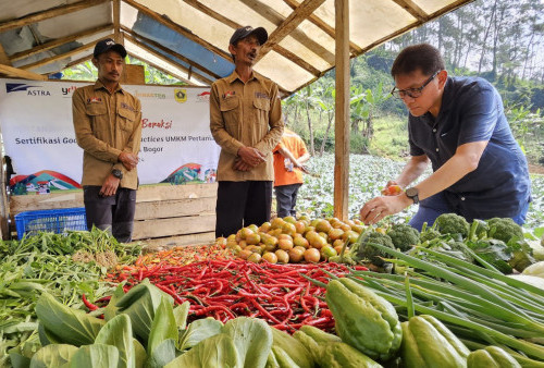 Sertifikasi diberikan kepada petani binaan Astra dan PIP yang telah melakukan transformasi sistem budidaya dari konvensional menjadi organik.
Sebanyak 14 petani mendapatkan sertifikasi GAP yang langsung diserahkan oleh Dinas terkait di Sukawangi Bogor. Foto: HO/YDBA