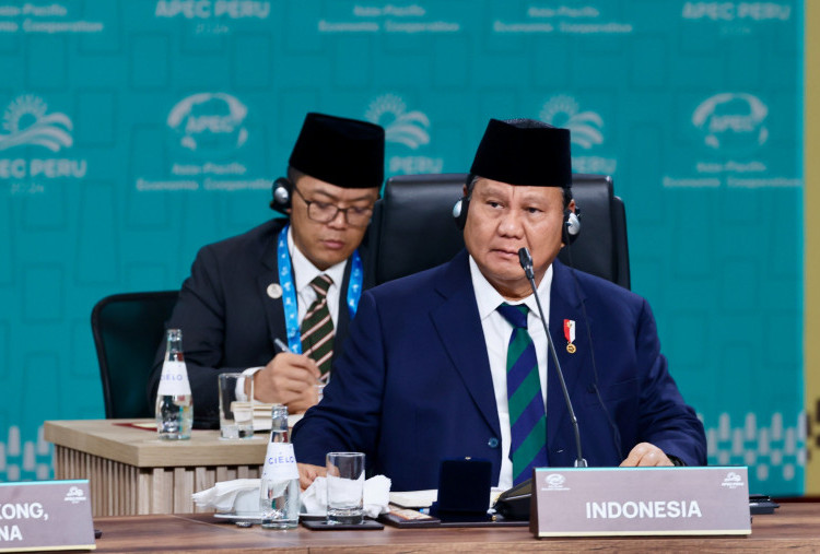 Prabowo Usai Hadiri APEC 2024: Perdagangan di Asia-Pasifik Harus Bebas, Tapi Adil 